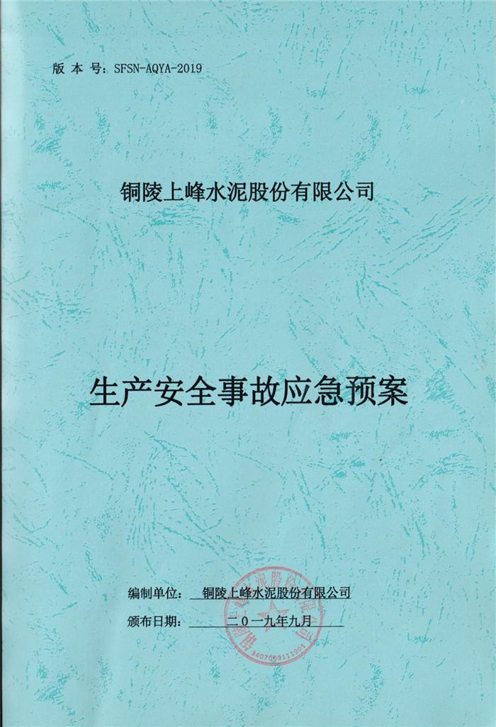 2019年銅陵上峰水泥股份有限公司生產(chǎn)安全事故應(yīng)急預案